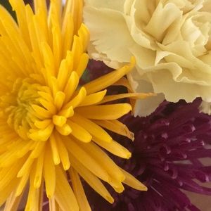 Meet your Posher, Mary